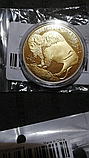 Пам'ятна, ювілейна позолочена монета, колекційна монета "Індеець" США, 2024. American Indian Buffalo, фото 7