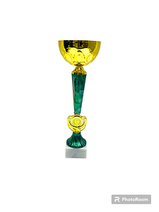 Кубок ДТ1 — 105