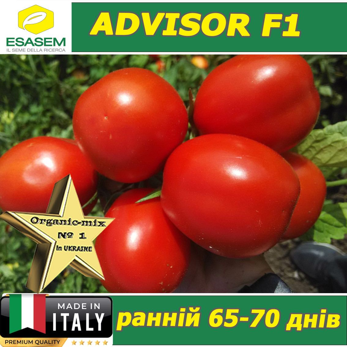 Томат ранній ЕДВАЙЗЕР F1 / ADVISOR F1, ТМ Esasem (Італія)