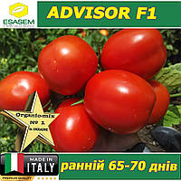 Томат ранній ЕДВАЙЗЕР F1 / ADVISOR F1, ТМ Esasem (Італія)