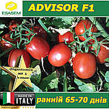 Томат ранній ЕДВАЙЗЕР F1 / ADVISOR F1, ТМ Esasem (Італія), фото 3