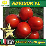 Томат ранній ЕДВАЙЗЕР F1 / ADVISOR F1, ТМ Esasem (Італія), фото 6