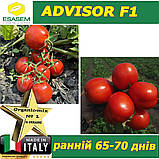 Томат ранній ЕДВАЙЗЕР F1 / ADVISOR F1, ТМ Esasem (Італія), фото 7