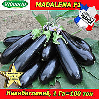 Баклажан МАДАЛЕНА F1 / MADALENA F1, ТМ Vilmorin (Франція), 1000 насінин