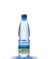 Мінеральна вода Шаянська джерельна 0,5л негазована 4820026950051