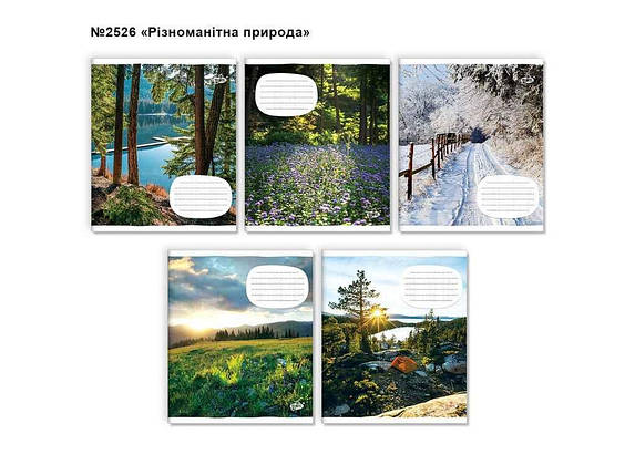 Зошит в клітинку 24арк. 20шт/уп оф. ТВ-109 №2526 Рiзноманiтна природа ТМ БРІСК FG, фото 1