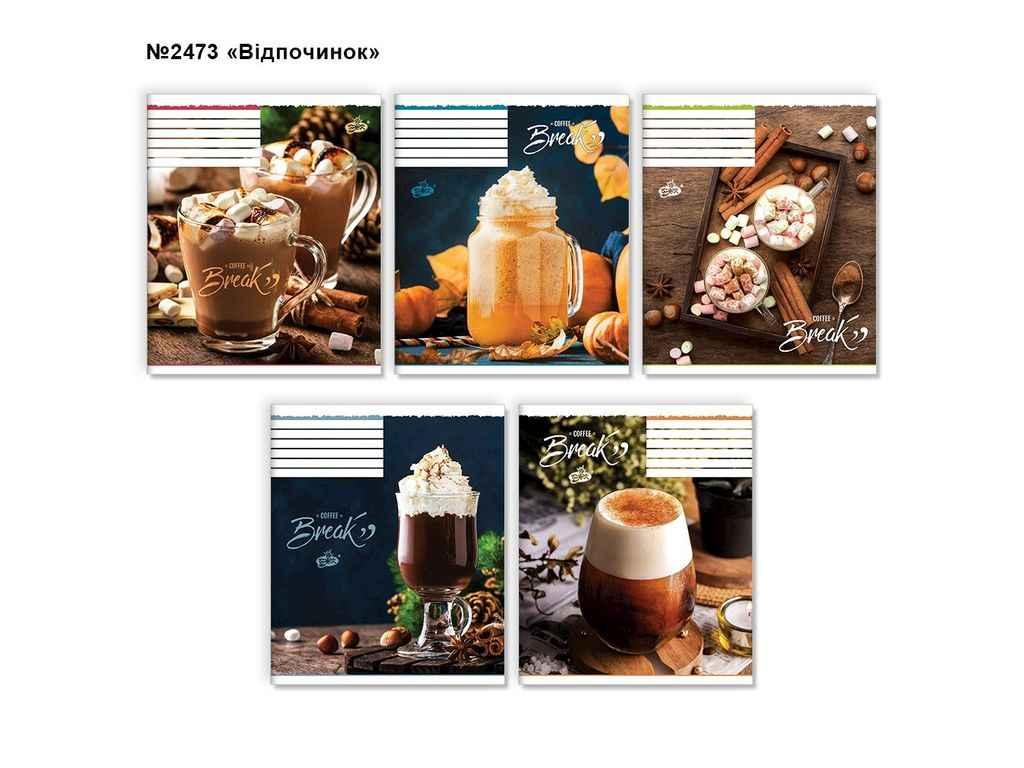 Зошит в клітинку 48арк. 15шт/уп оф. ТВ-14 №2473 Вiдпочинок ТМ БРІСК FG