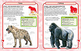 Дикі тварини. Міні-енциклопедія., фото 3