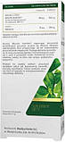 Medica Herbs Бакопа (Брахмі) Форте, фото 3