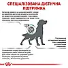 Сухий корм для собак ROYAL CANIN DIABETIC DOG для регуляції рівня глюкози 1.5 кг, фото 6