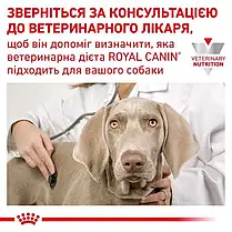 Сухий корм для собак ROYAL CANIN DIABETIC DOG для регуляції рівня глюкози 1.5 кг, фото 2