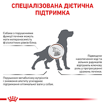 Сухий корм для собак ROYAL CANIN HEPATIC DOG з хронічною печінковою недостатністю 12 кг, фото 4