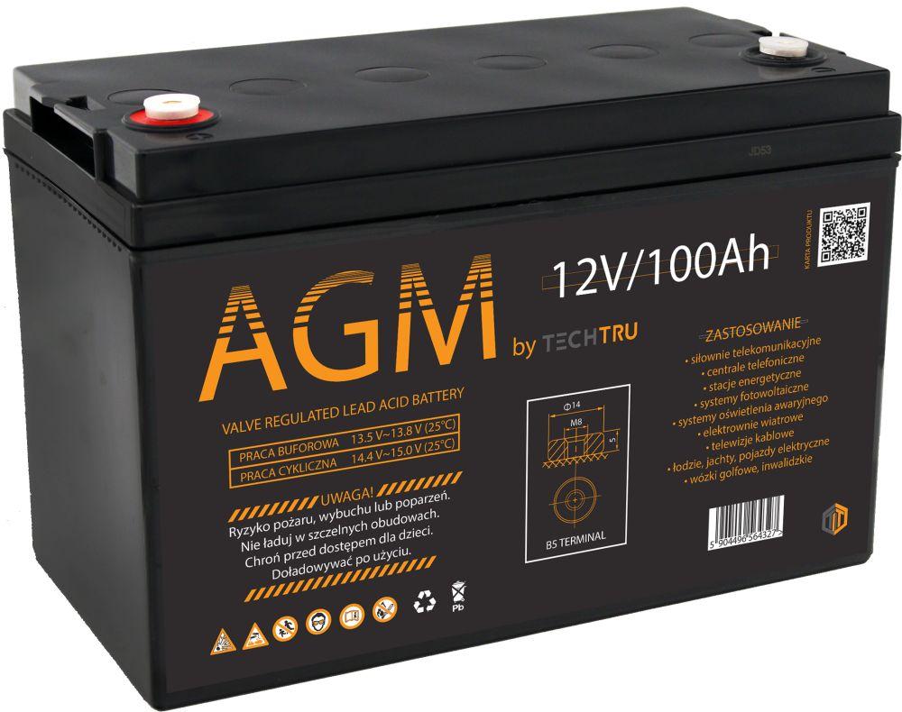 Акумулятор AGM TECHTRU 12V 100Ah VRLA для ІБП та інверторів, термін служби більше 10 років, фото 1