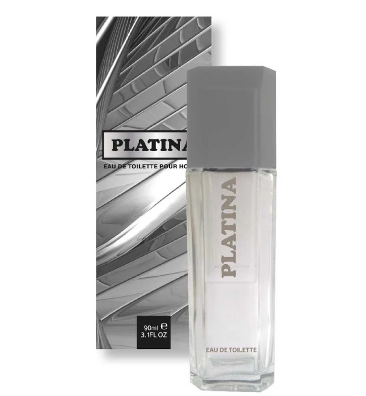 Туалетна вода Men"s style "Platina" 100мл (4820022907141), фото 1