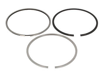 Кільця поршня STD 101.00 мм на Deutz BF4M2012, BF6M2012, TCD 2012 L04