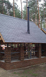 Дымоходы установленные сквозь крышу здания