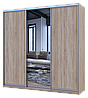 Шафа купе Doros Сіті Лайт Дуб сонома 2 ДСП / 1 дзеркало 225х60х225 (42002135), фото 3
