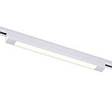 Світильник трековий однофазний PT09 (біл) 30W 4000K, фото 2