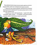 Мишеня Тім. Родина в очікуванні дитини, фото 5