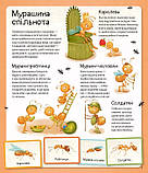 Енциклопедія Світ мурах, фото 2