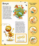 Енциклопедія Світ мурах, фото 4