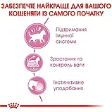 Royal Canin Kitten Sterilised Роял Канін Кіттен вологий корм для стерил. кошенят, шматочки у соусі, 85 гр, фото 3