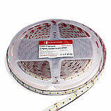 LED-стрічка 14Вт 24В SMD2835 180 діодів, холодний білий 6500К, серія Externum IP65, гарантія 3 роки SL-1, фото 4