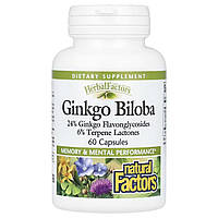 Гінкго Білоба, Ginkgo Biloba, Natural Factors, 60 капсул