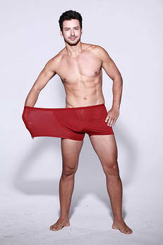 Боксери чоловічі стрейч труси шорти батал великі до 7XL Indena Vericoh