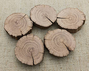 Зріз дерева шліфований для створення панно (5 шт) 5 см.