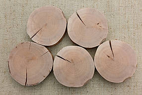 Набір зрізів дерева, шліфований, для картин, експозицій, декору будинку 5 шт.