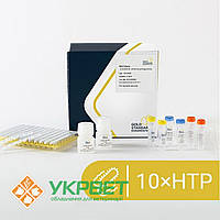 Мультиплексний набір BACGene для ПЛР у реальному часі для виявлення Listeria monocytogenes 10xHTP