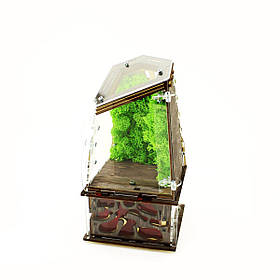 Вертикальна мурашина ферма AntHouse Flora 240х120х120 мм Коричневий