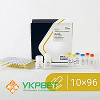 Мультиплексний набір BACGene для ПЛР у реальному часі для виявлення Listeria Multiplex 96/10x96