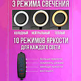 Кільцеве світло 26 см, Освітлення для блогера, Якісна кільцева лампа для блогу Лампа тиктокерів MH-25, фото 5
