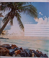 Зошит загальний 96 аркушів клітинка ТВ-88 Бриск