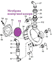 550190 Мембрана повітряної камери Annovi Reverberi (для насосів високого та низького тиску), фото 3