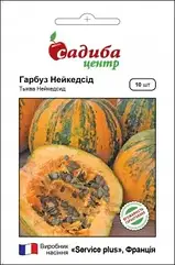 Гарбуз Нейкедсід голонасіннєвий 10 шт