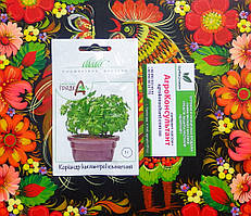 Насіння коріандру Кімнатний (Wing Seed), 1 грам — середньостиглий (35-40 днів), всесезонний