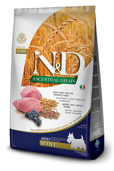Farmina N&D Low Grain DOG Adult Mini Lamb & Blueberry для собак мелких пород с ягненком и черникой 0,8кг, фото 1