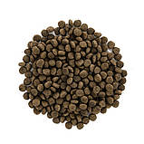 Brit Care DOG GF Mini Light & Sterilised для собак дрібних порід з кроликом та лососем 2кг, фото 2