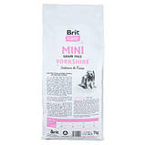 Brit Care DOG GF Mini Yorkshire для собак йоркширських тер'єрів, з лососем та тунцем 7кг, фото 3