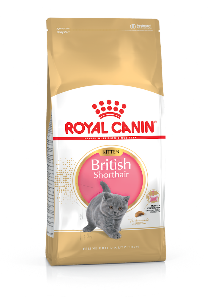 Royal Canin CAT British Shorthair Kitten для кішен для кісточки породи британська короткошерста 0,4 кг