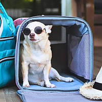 Спальні місця та переноски