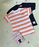 Набір дитячих футболок Lupilu на хлопчика р.110-116, фото 2