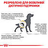 Сухий корм для собак ROYAL CANIN URINARY S/O DOG для розчинення струвітів 13 кг, фото 6