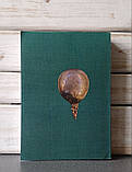 Переписна книга Сумського полку 1691 р., фото 10