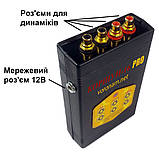 Відлякувач птахів КОРШУН-16 PRO (4динаміки), від ворон, шпаків, чайок,щурок акустичний, фото 5