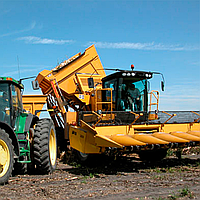 Кукурудзозбиральний комбайн Oxbo 2460