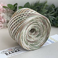 Пряжа трикотажна BARWA Фісташкове печиво